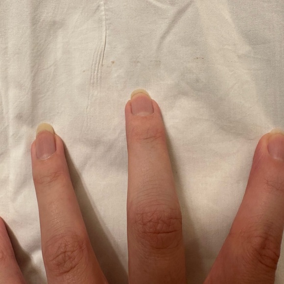 Lane Bryant Ruffle Top - Picture 3 of 4